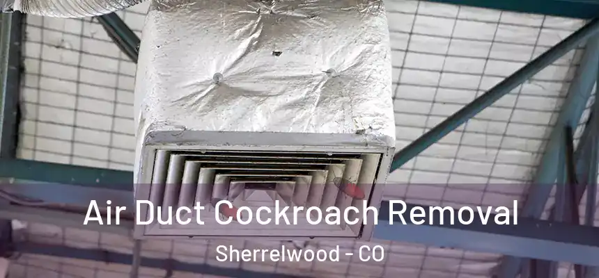  Air Duct Cockroach Removal Sherrelwood - CO
