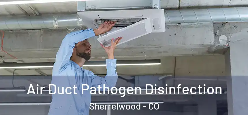  Air Duct Pathogen Disinfection Sherrelwood - CO