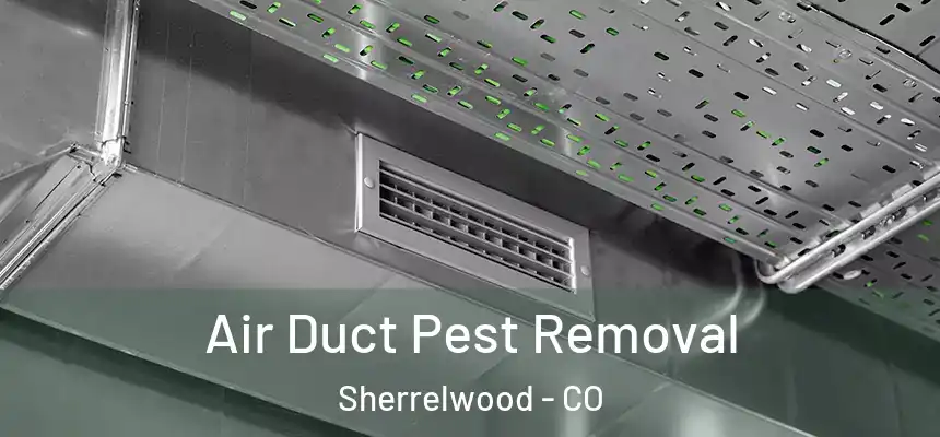 Air Duct Pest Removal Sherrelwood - CO