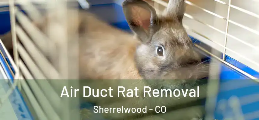 Air Duct Rat Removal Sherrelwood - CO