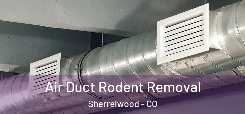 Air Duct Rodent Removal Sherrelwood - CO