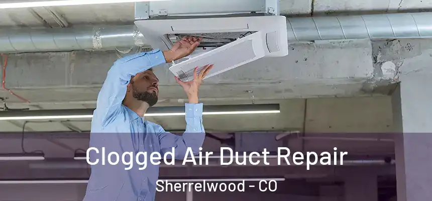 Clogged Air Duct Repair Sherrelwood - CO