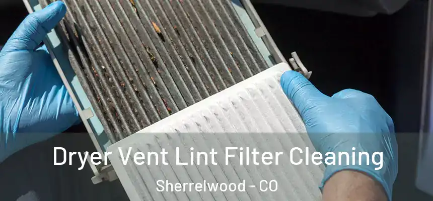  Dryer Vent Lint Filter Cleaning Sherrelwood - CO