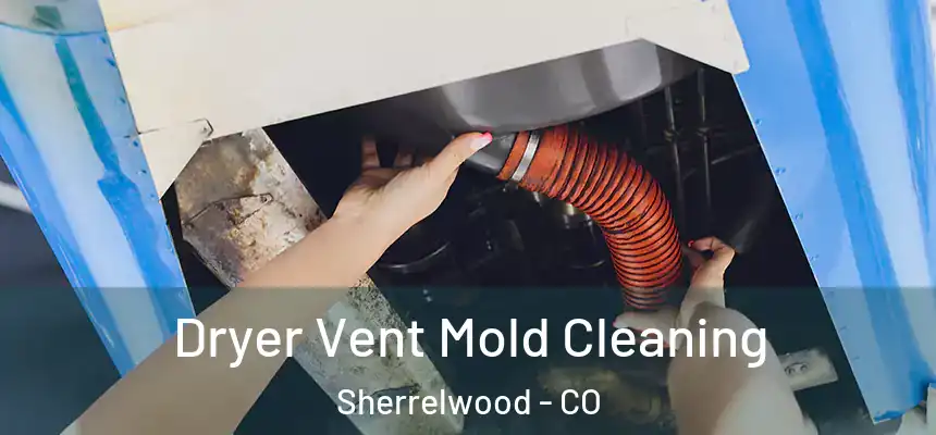Dryer Vent Mold Cleaning Sherrelwood - CO