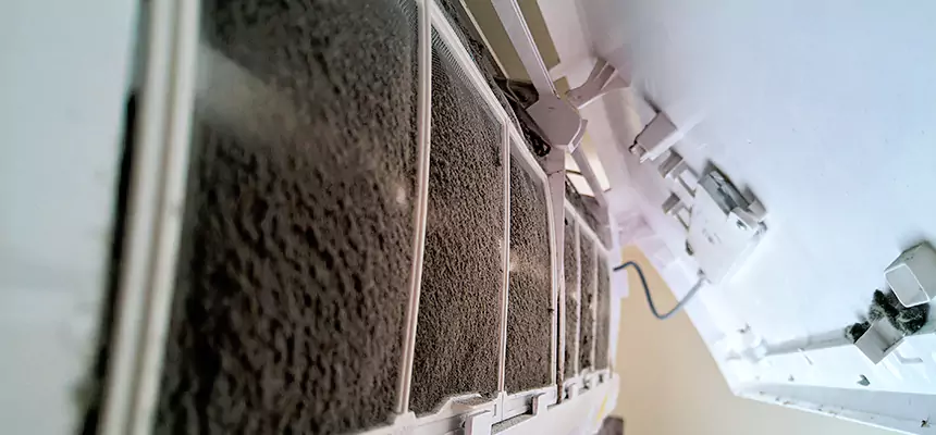 Preventive Air Duct Bacteria Removal in Sherrelwood