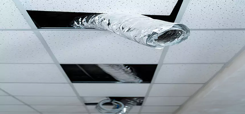 Affordable HVAC Sanitizing After Pest Removal in Sherrelwood