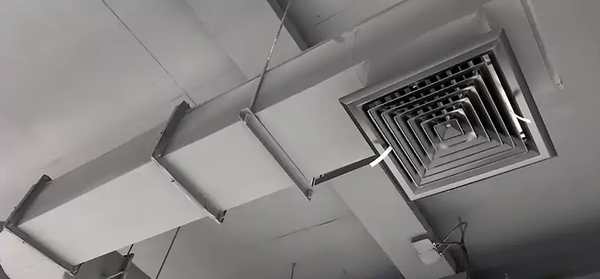 Our Pest Removal From Ducts Services in Sherrelwood, CO