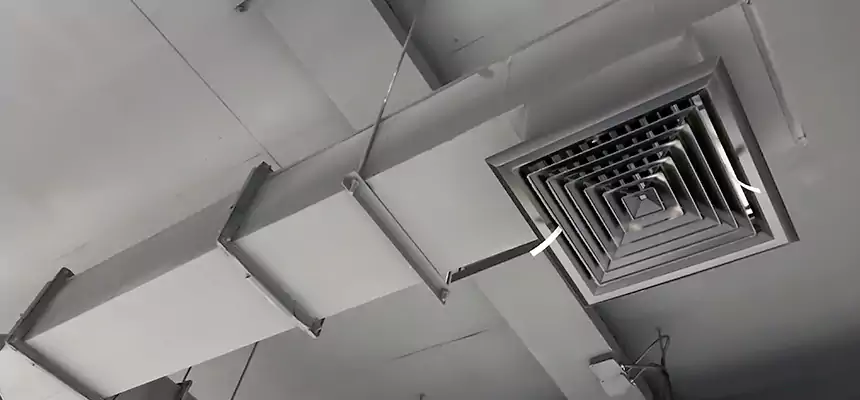 Our Rodent Droppings In Vents Services in Sherrelwood, CO