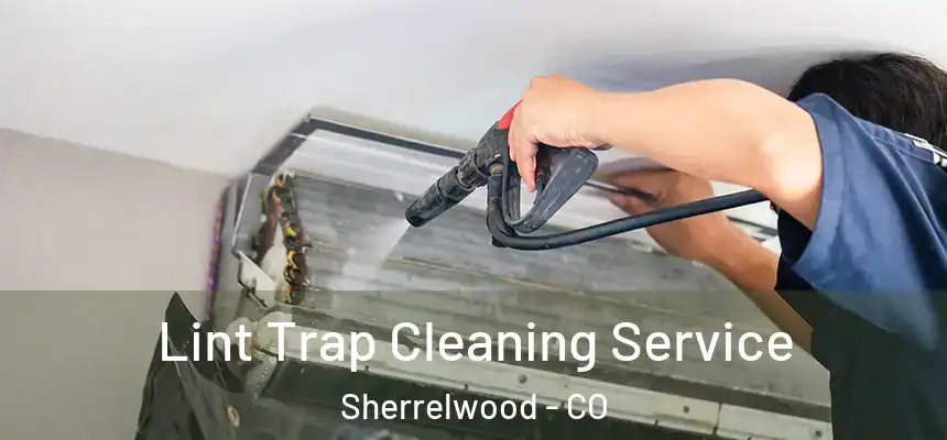  Lint Trap Cleaning Service Sherrelwood - CO