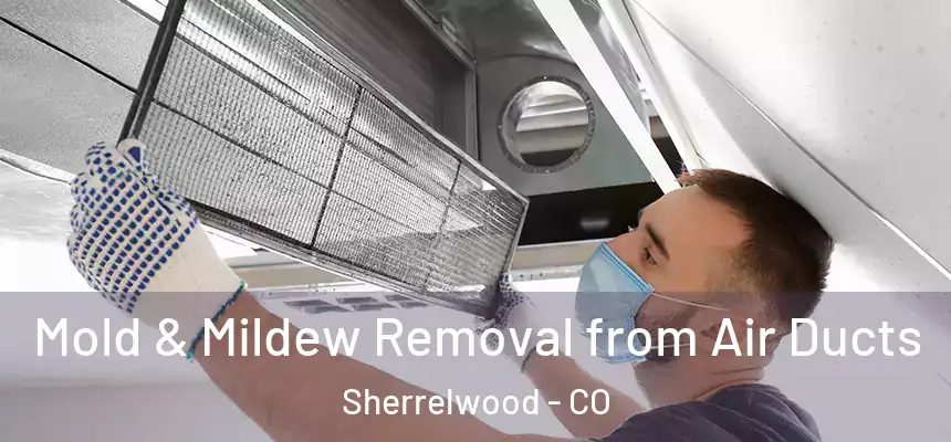 Mold & Mildew Removal from Air Ducts Sherrelwood - CO