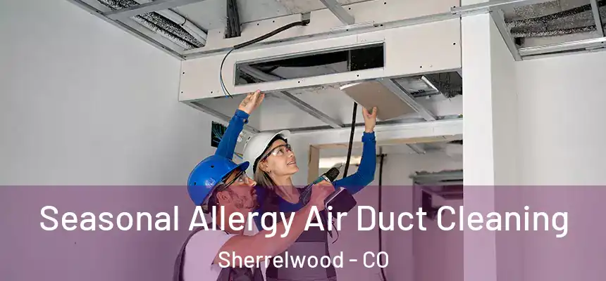Seasonal Allergy Air Duct Cleaning Sherrelwood - CO