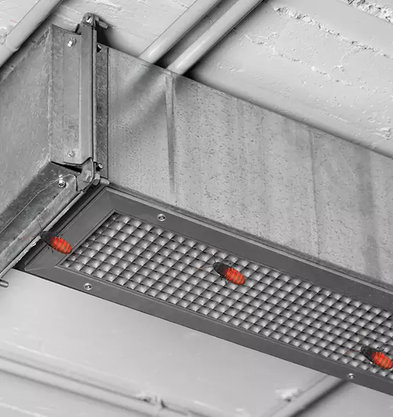 Affordable Insect Removal from Air Ducts in Sherrelwood, CO