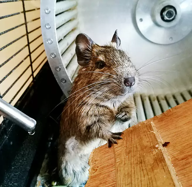 Why Homeowners & Businesses Trust Us Sherrelwood, CO