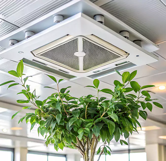 Why Homeowners & Businesses Trust Us in Sherrelwood, CO?