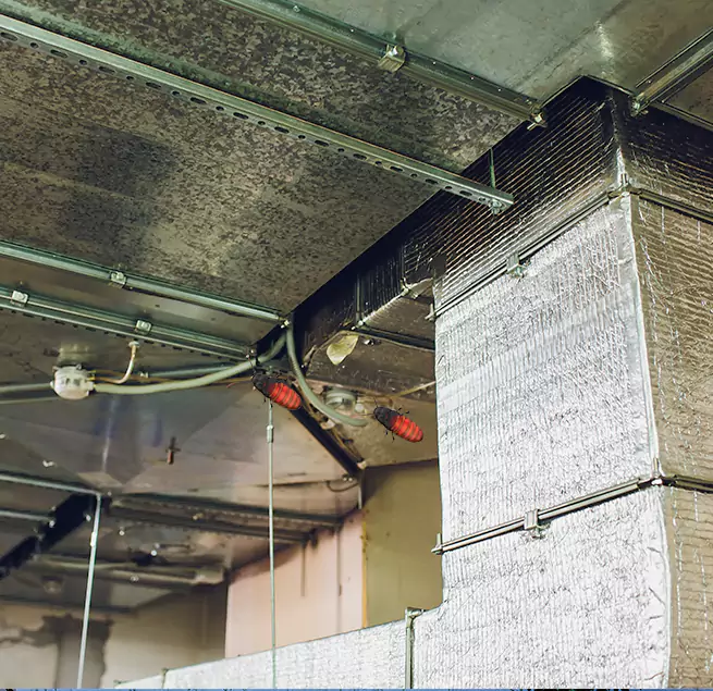 Why Homeowners & Businesses Trust Us Sherrelwood, CO?