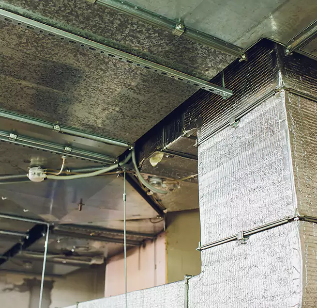 Why Homeowners & Businesses Trust Us in Sherrelwood, CO?