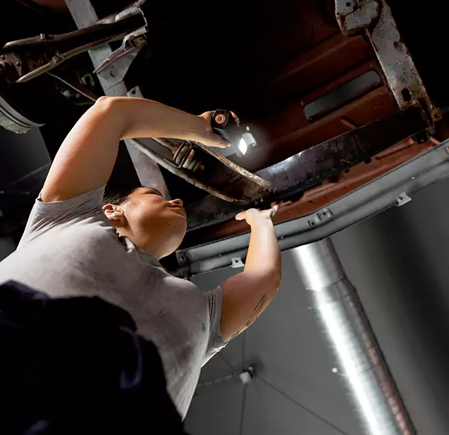 Why Homeowners & Businesses Trust Us Sherrelwood, CO